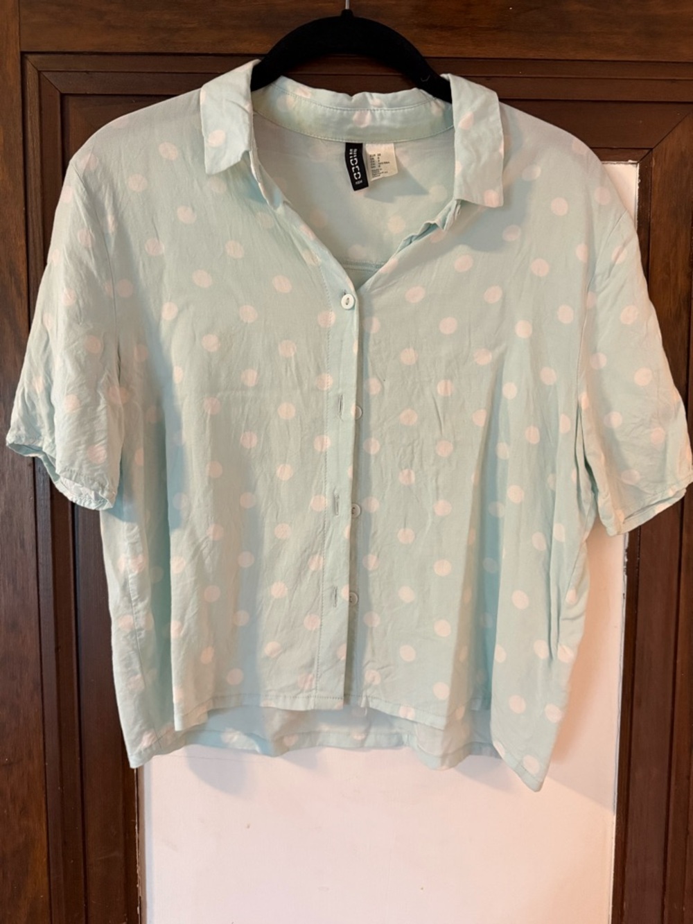 H&M Mint Green Polka Dot Button-Down Blouse
